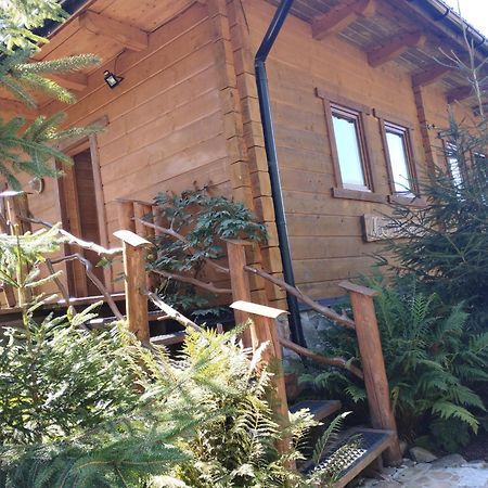 Apartament Nad Potokiem Wisła Εξωτερικό φωτογραφία