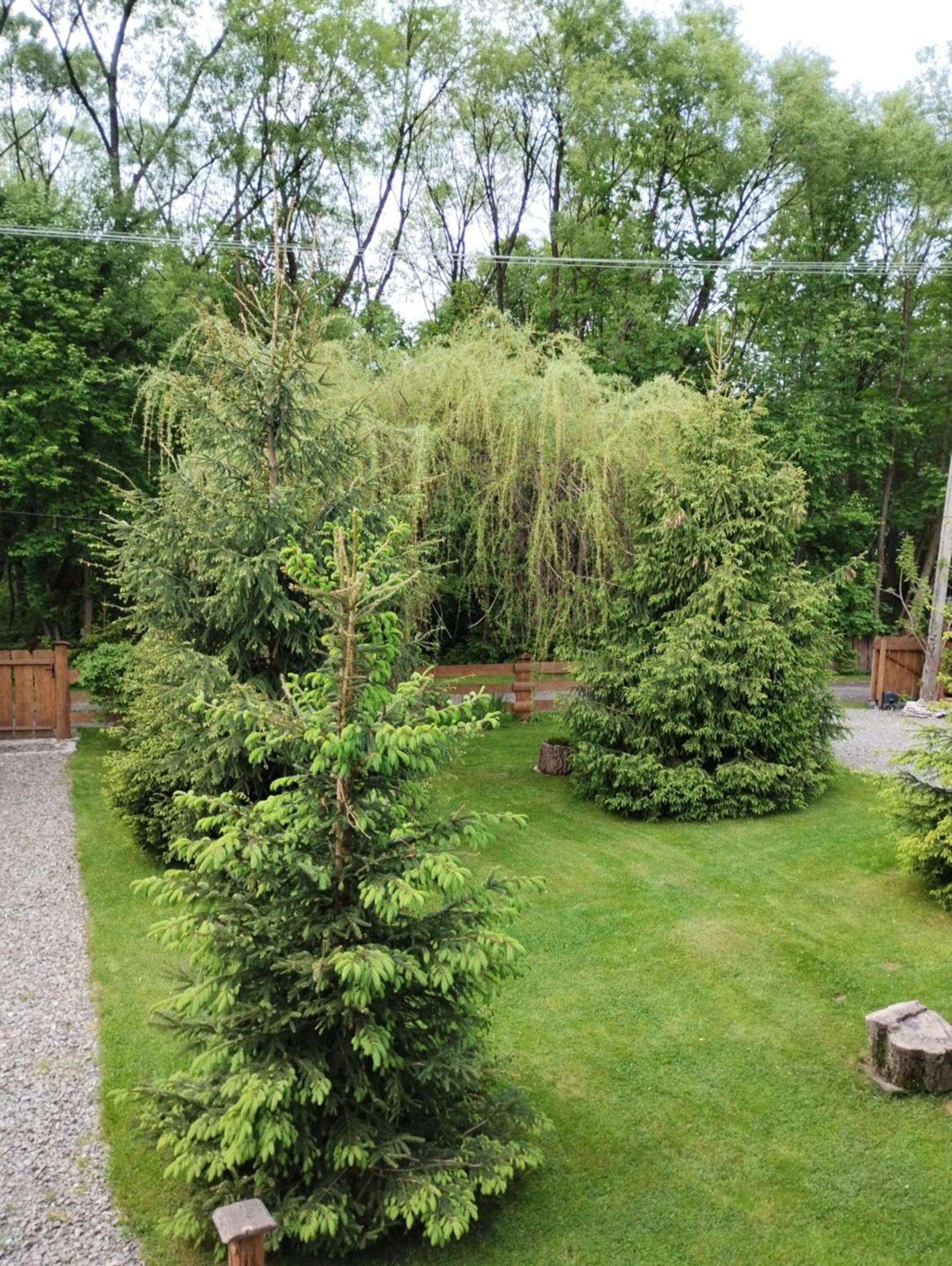 Apartament Nad Potokiem Wisła Εξωτερικό φωτογραφία